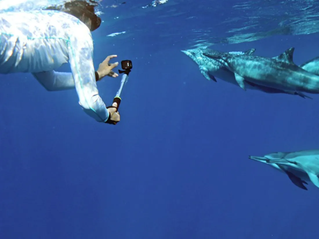 Dolphin tour in Kizimkazi