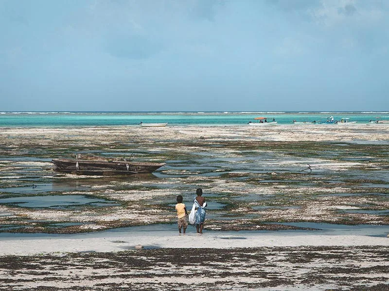 Paje low tide with seaweed gardens